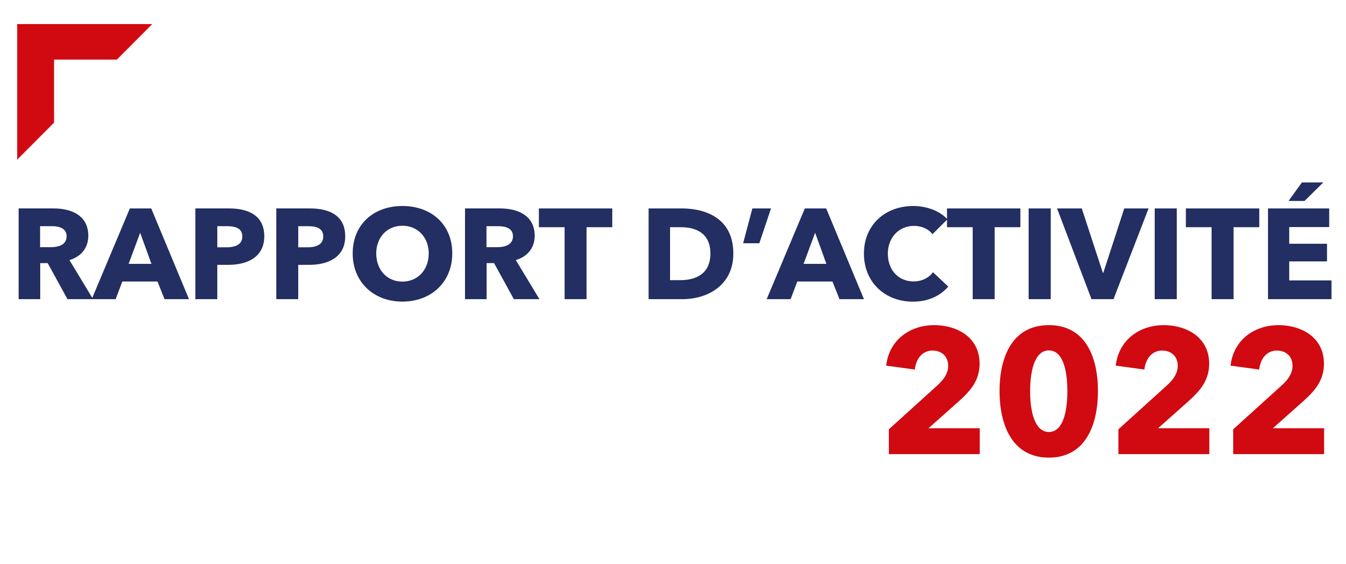 Caisse des Dépôts et Consignation Rapport d
