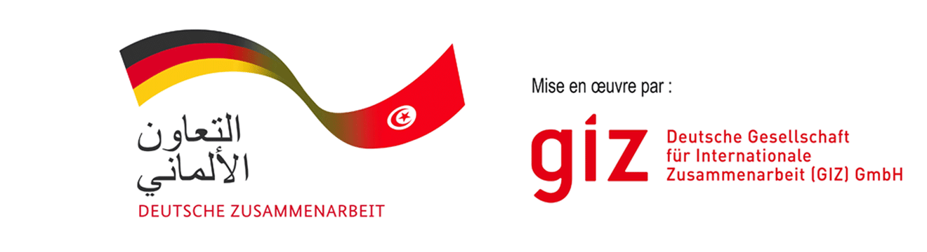 Deutsche Gesellschaft für Internationale Zusammenarbeit (GIZ) GmbH