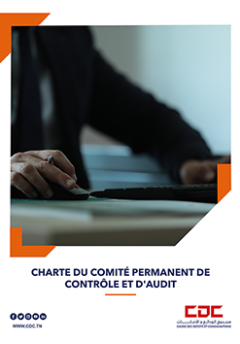Charte du comité permanent de contrôle et d'audit - CDC